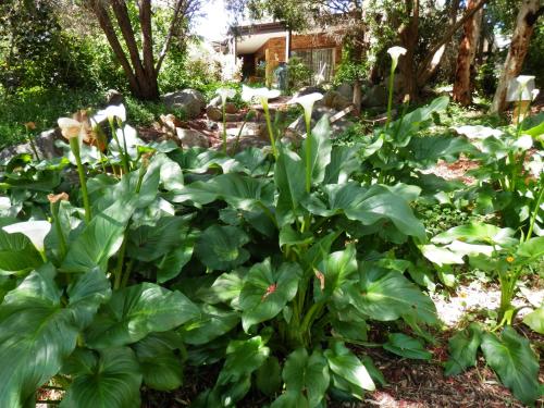 the hideaway bandb retreat