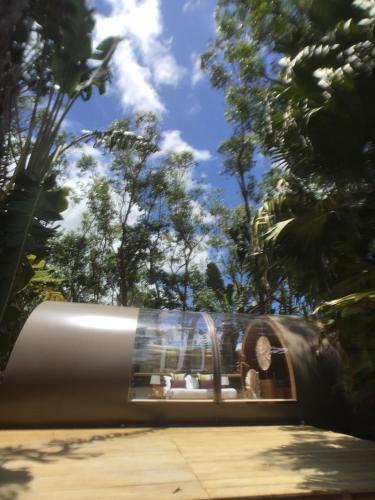 bubble lodge bois cheri