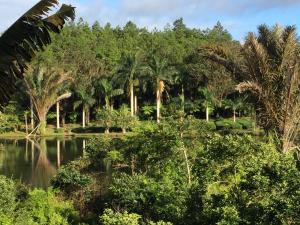 bubble lodge bois cheri