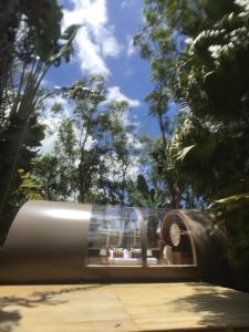 bubble lodge bois cheri