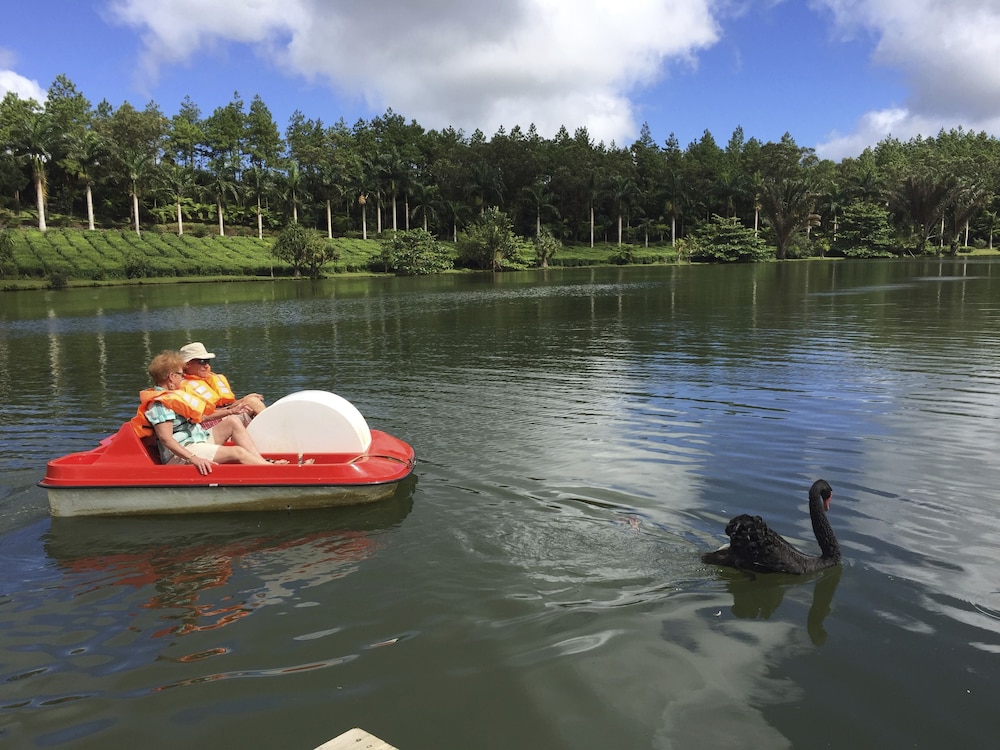 bubble lodge bois cheri