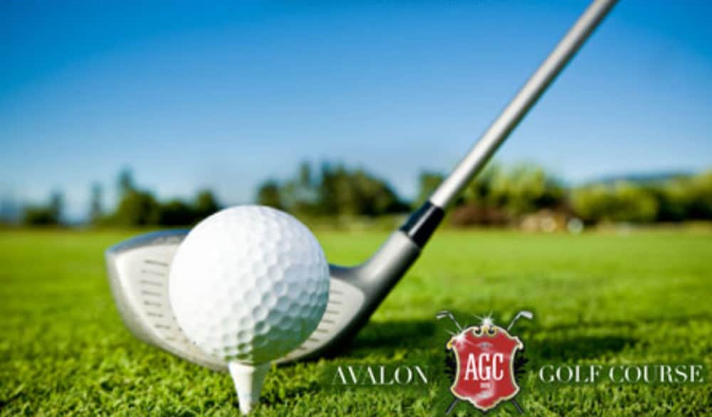 bubble lodge bois cheri