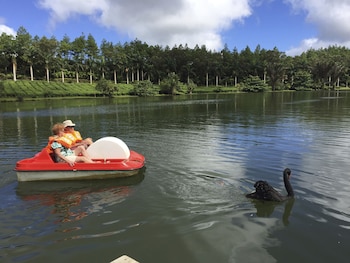 bubble lodge bois cheri