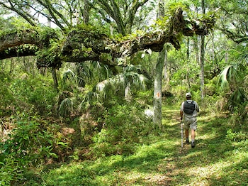 bubble lodge bois cheri
