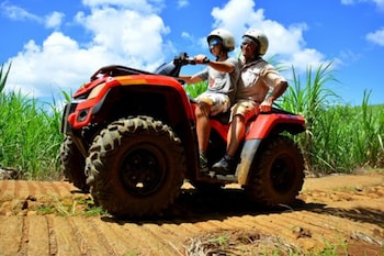 bubble lodge bois cheri