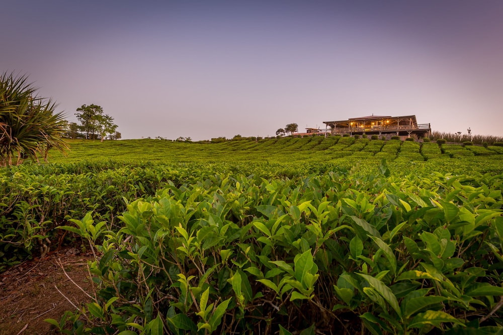 bubble lodge bois cheri
