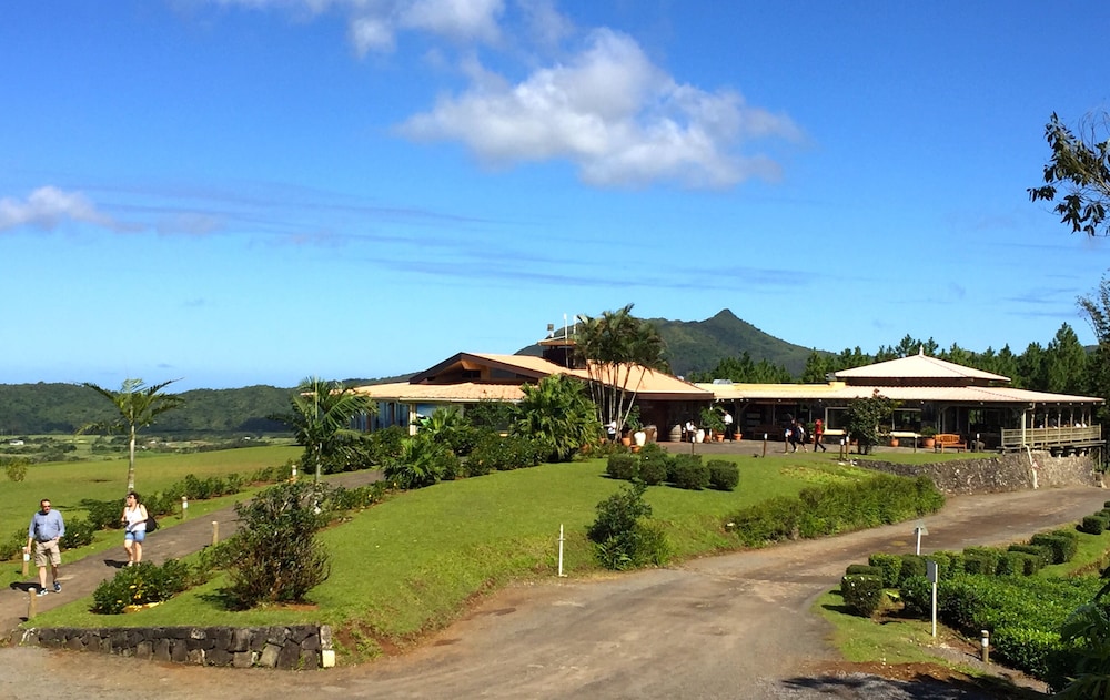 bubble lodge bois cheri