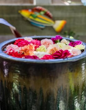 buhwi bira byron bay studio central