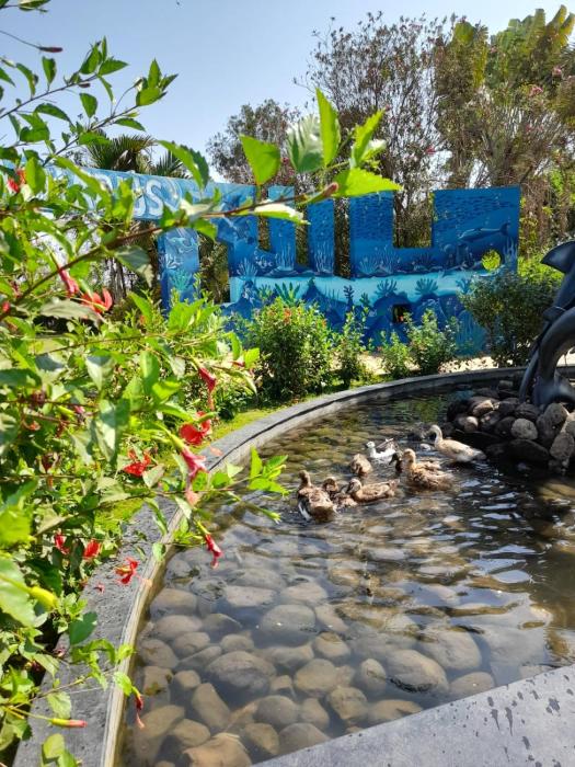 aquarius resort by oyo