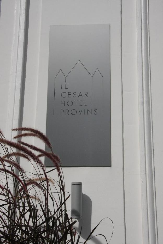 le cesar hotel