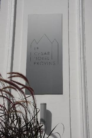 le cesar hotel