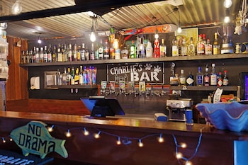 gladstone backpackers