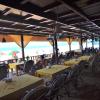 agonda