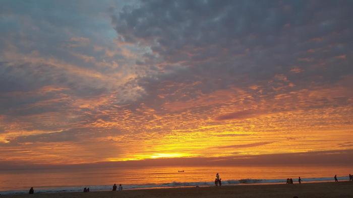 agonda