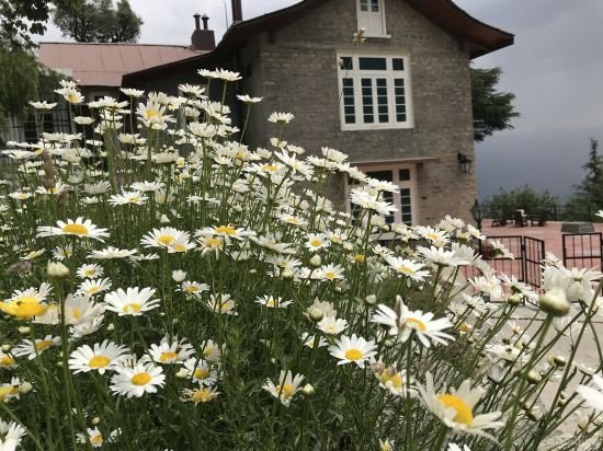 deodar manor