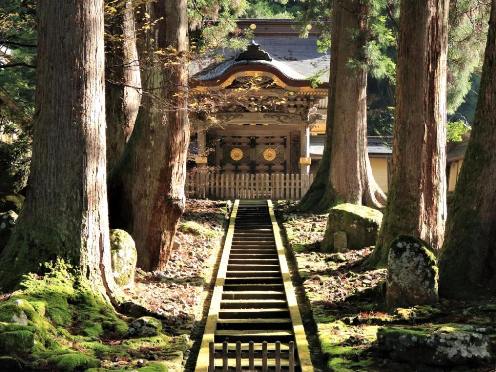 toyoko inn fukui ekimae
