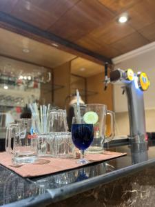 hotel vasu international