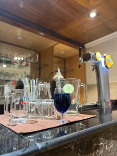 hotel vasu international