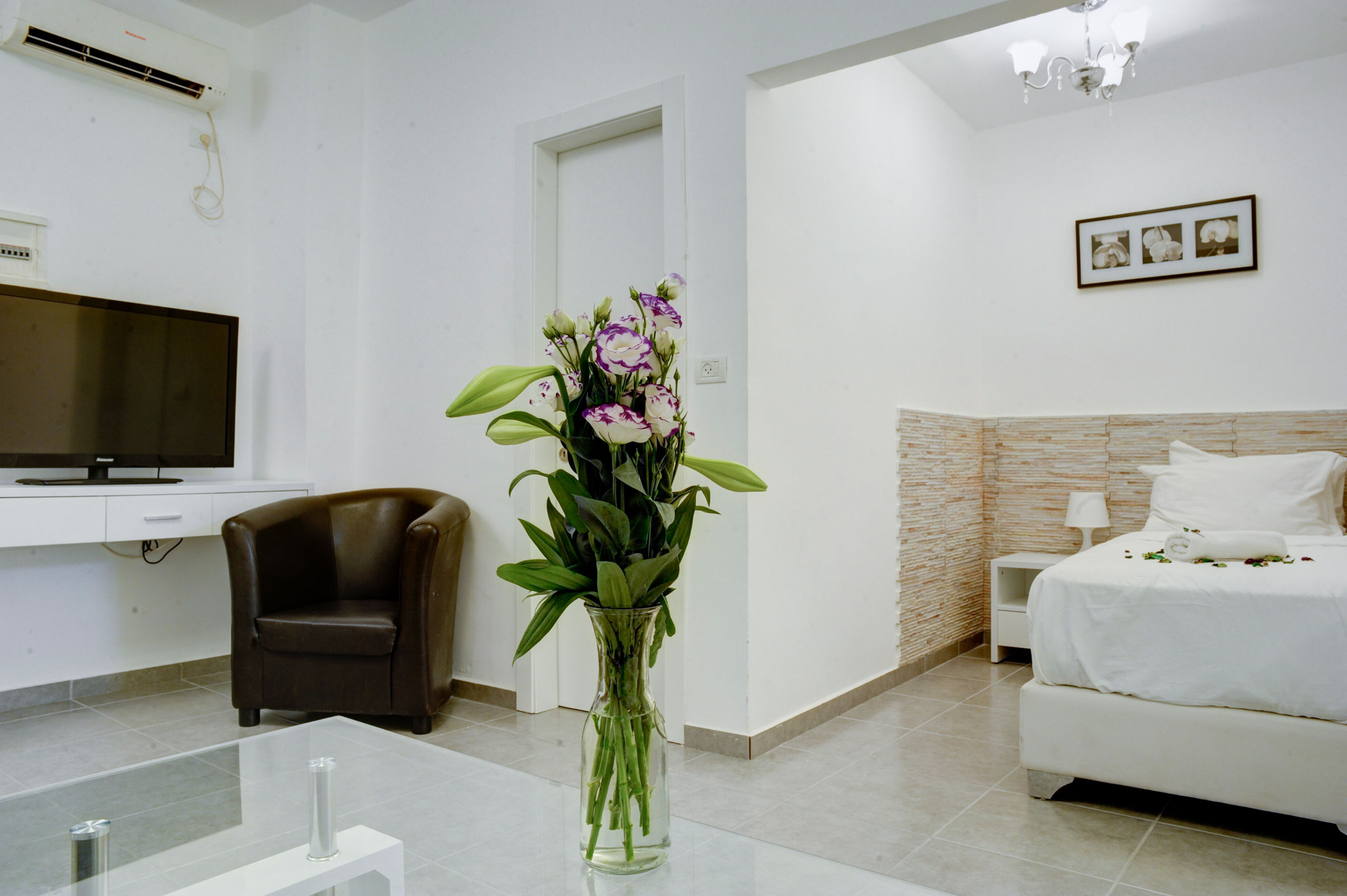liber seashore suites
