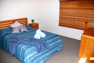 amberoo apartments tamworth