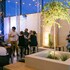 the cally hotel