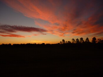 Silverpoint Estate,Cessnock>>Branxton,4 star