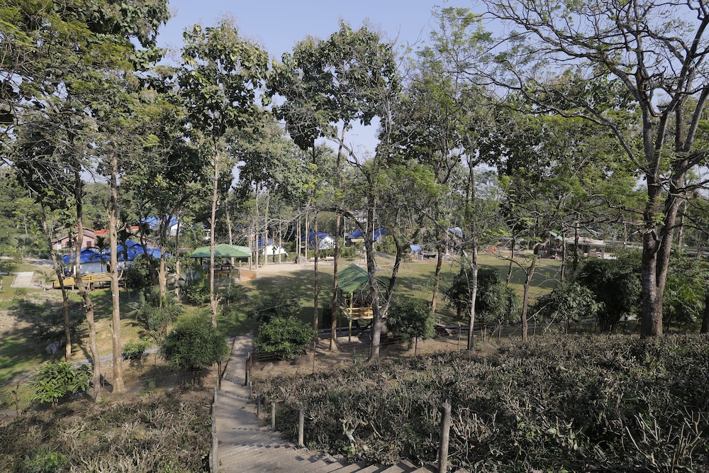 kaziranga