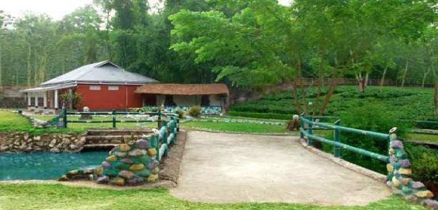 dhanshree resort