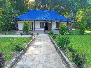 kaziranga