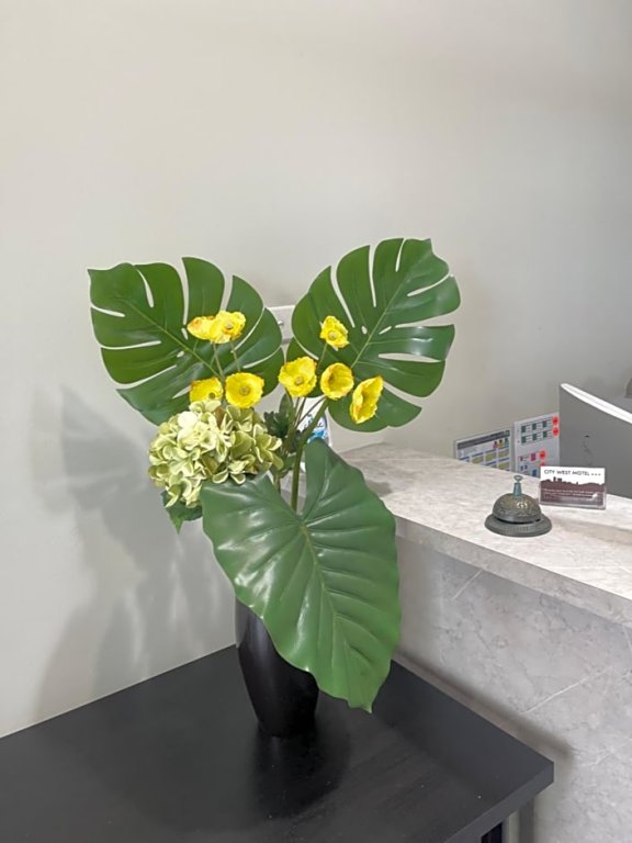 City West Motel,Mile End>>Adelaide,3 star