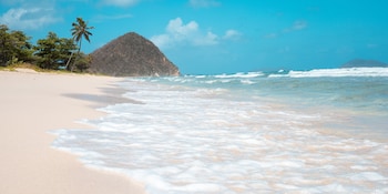 Long Bay Beach Resort,Freshwater Pond>>British Virgin Islands,5 star