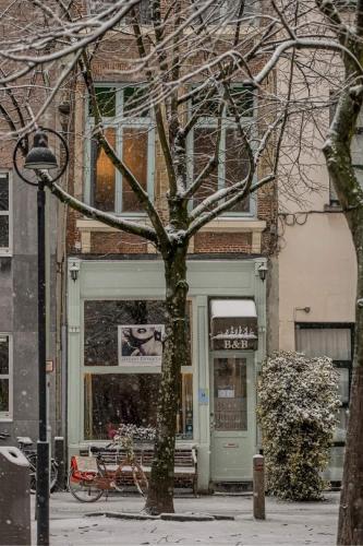 antwerp