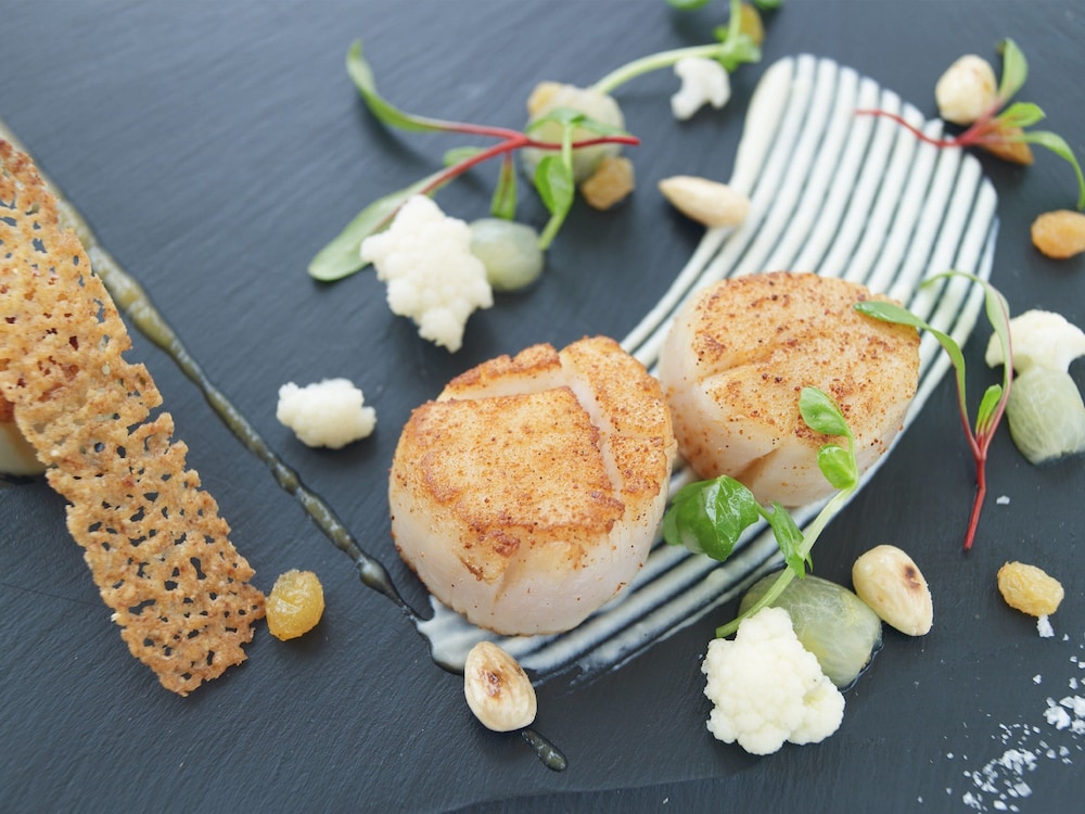 macdonald compleat angler