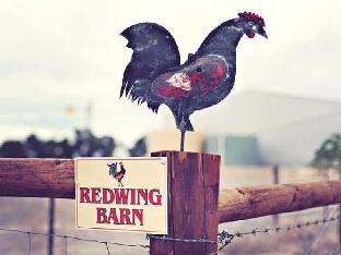 redwing farmstay