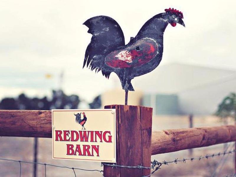 redwing farmstay