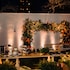 hotel bardo savannah