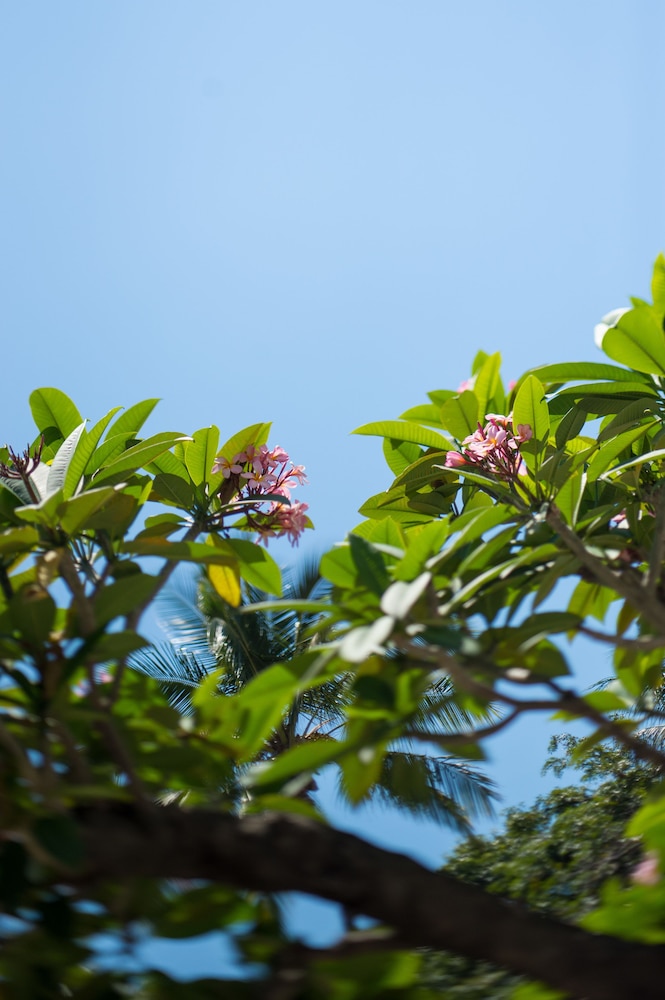 heart hotel and gallery whitsundays