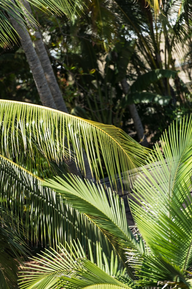 heart hotel and gallery whitsundays