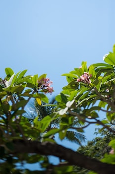 heart hotel and gallery whitsundays