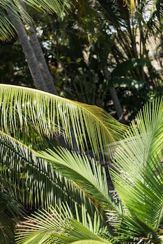 heart hotel and gallery whitsundays