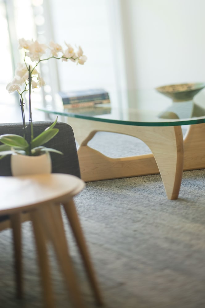 heart hotel and gallery whitsundays