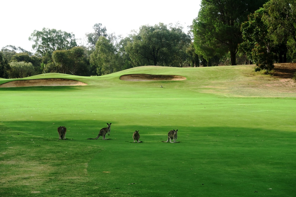 mulwala resort