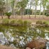 charters towers motel