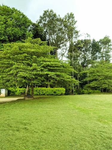 chikmagalur