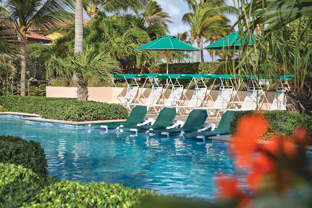 marriotts aruba surf club
