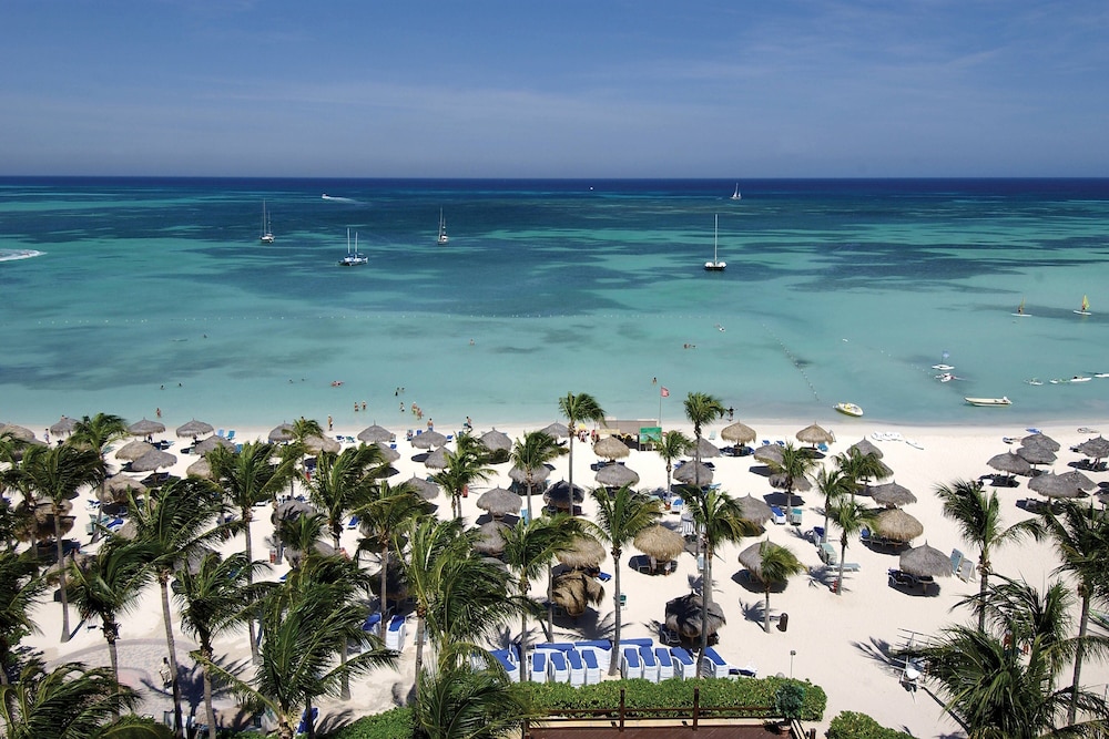 marriotts aruba surf club