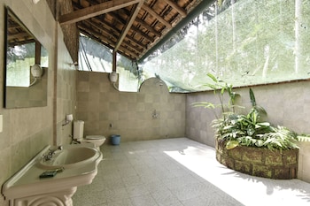 dudhsagar plantation