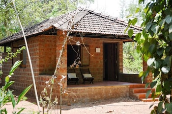 dudhsagar plantation