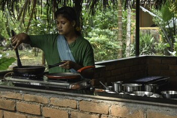 dudhsagar plantation