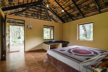 dudhsagar plantation